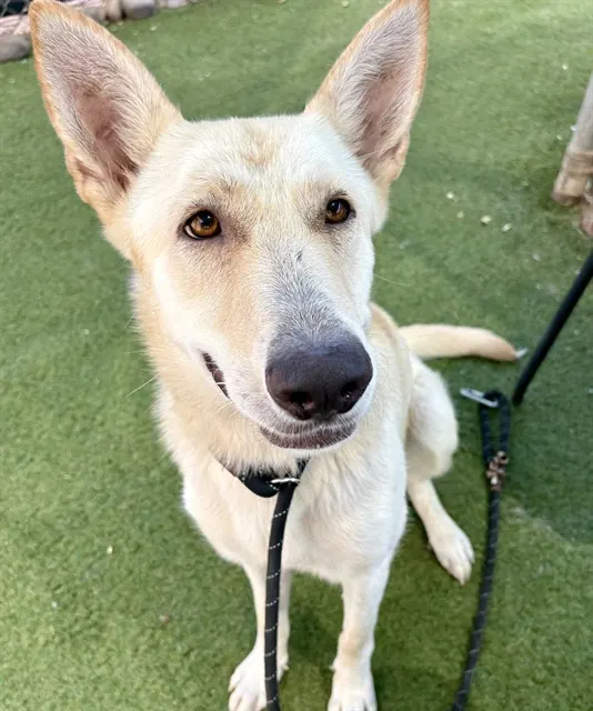 Fiona