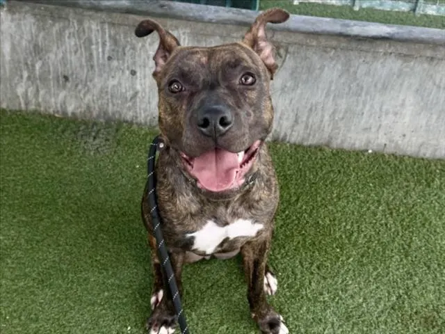 Kelly