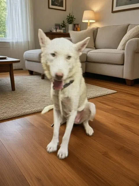 Freya