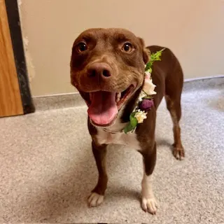 *Penny