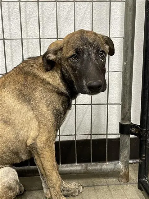 Milo