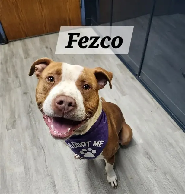 Fezco