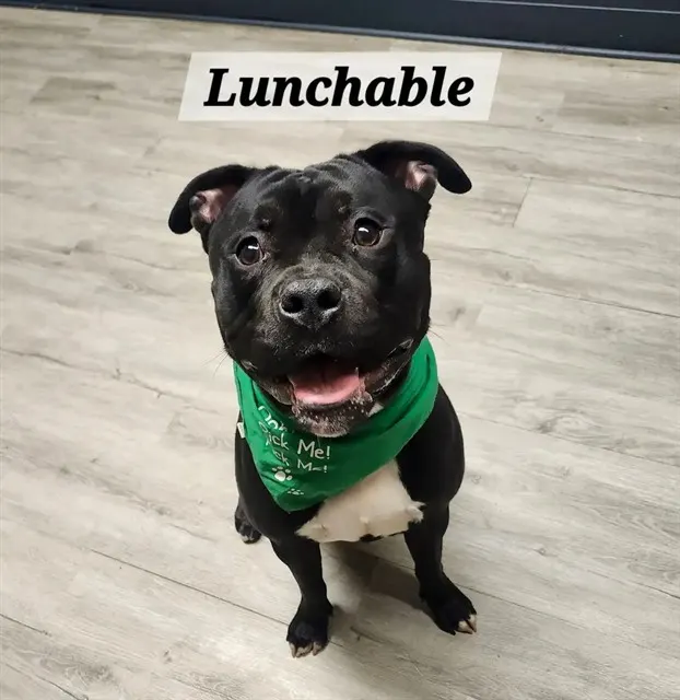 Lunchable