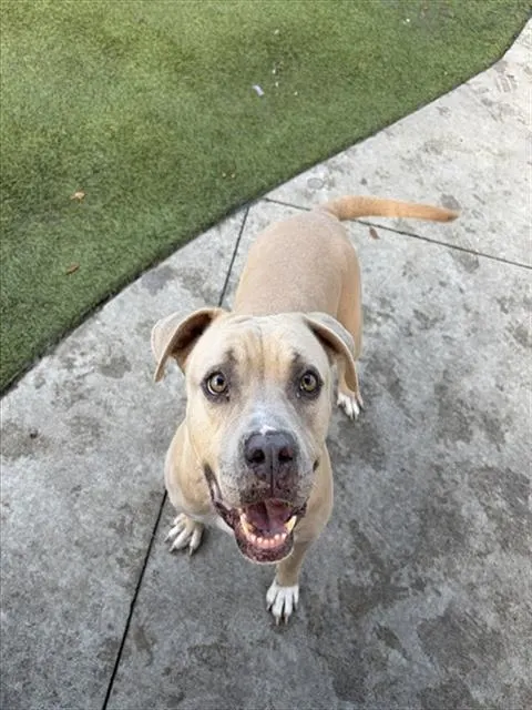 Lucy