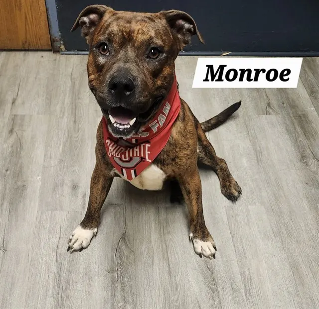 Monroe