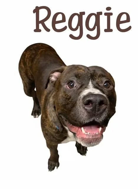 Reggie