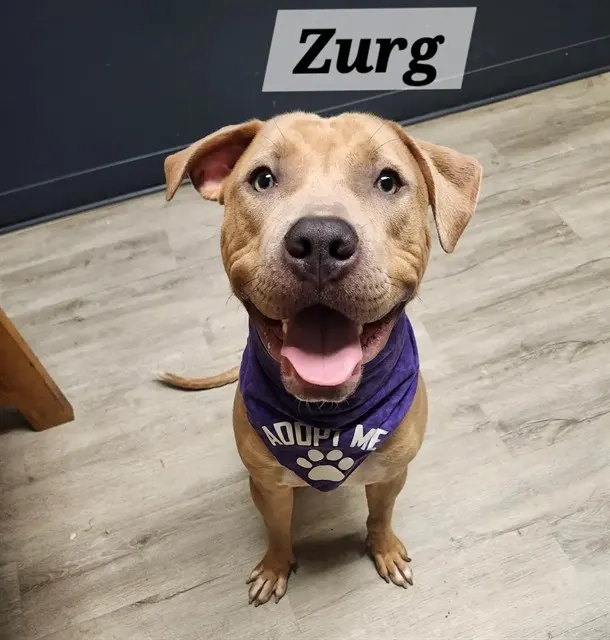 Zurg
