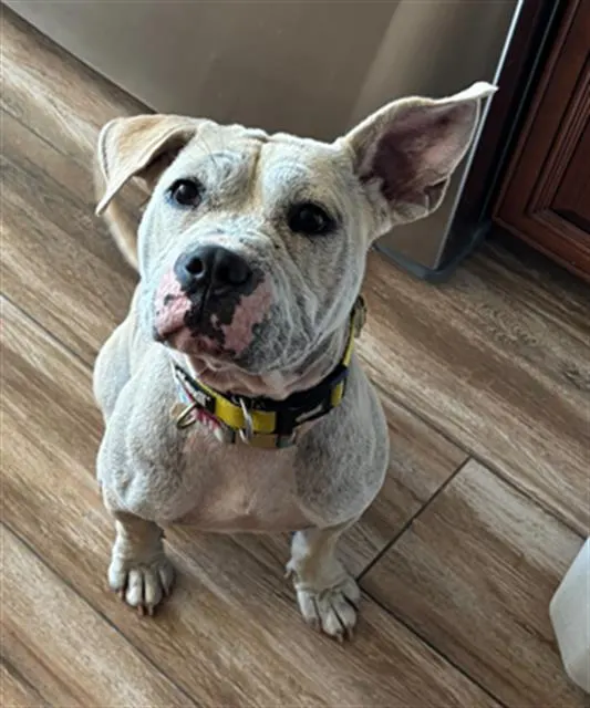 Leona- In Foster