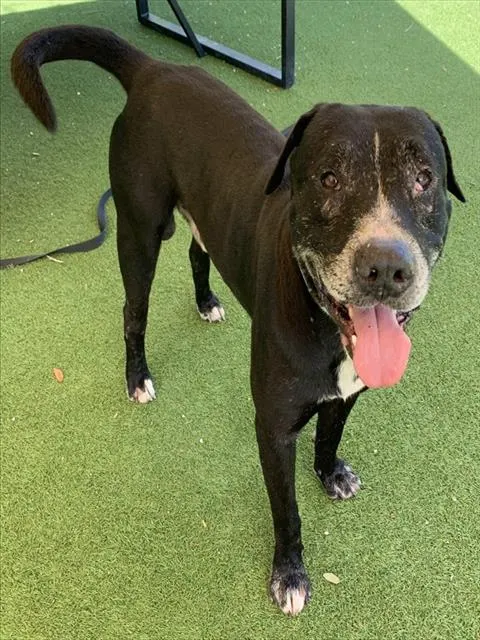 George