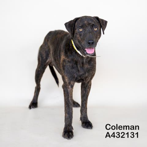 Coleman
