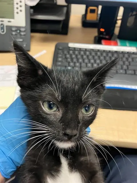*Coco