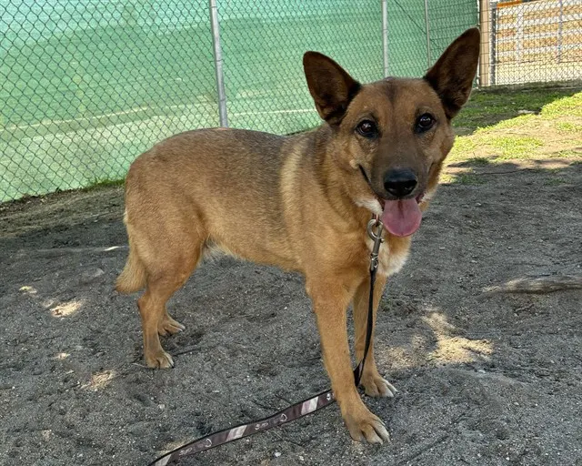 Urgent Juanita