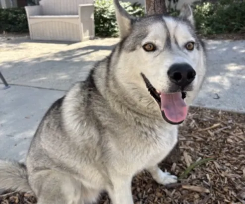 Sam