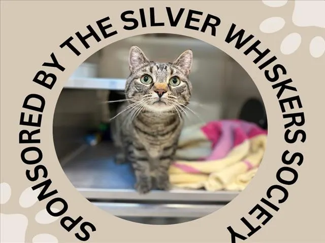 Hyde