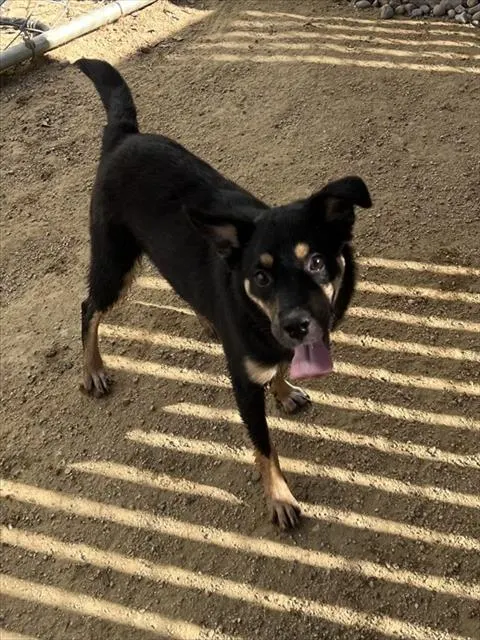 Sierra