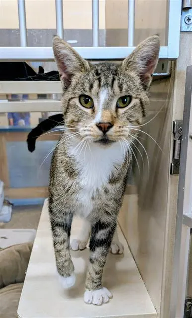 Cleo