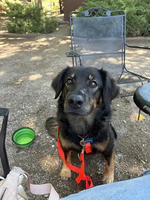 Kayko