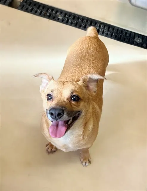 Ethel