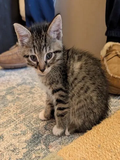 Bruce
