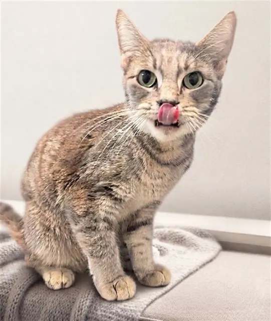 Mama Peaches