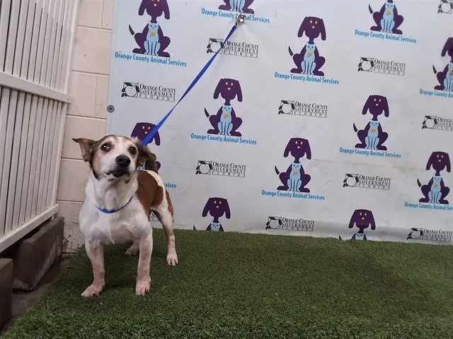 Marley