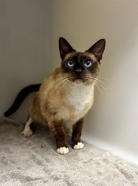 Kurt