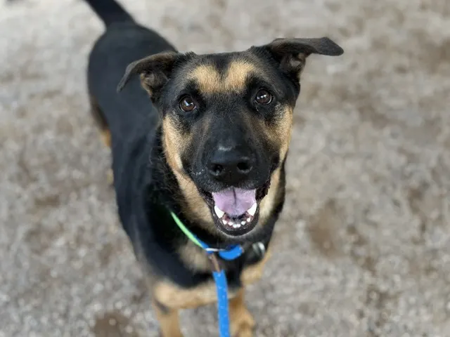 Jax