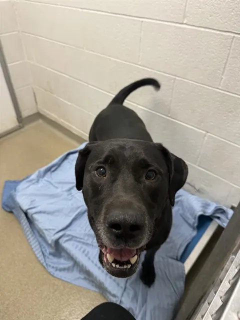 Edgar