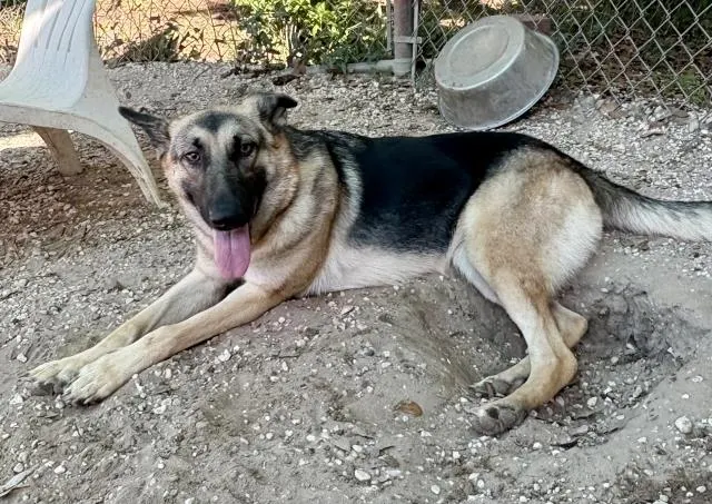 Dora