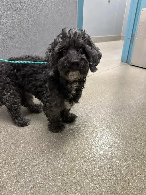 *Max