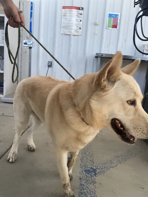 Max