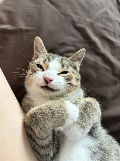Norbert