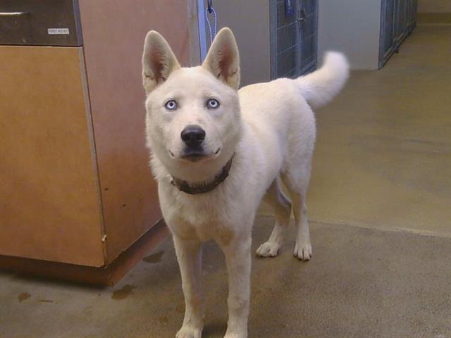 *Lon Chaney