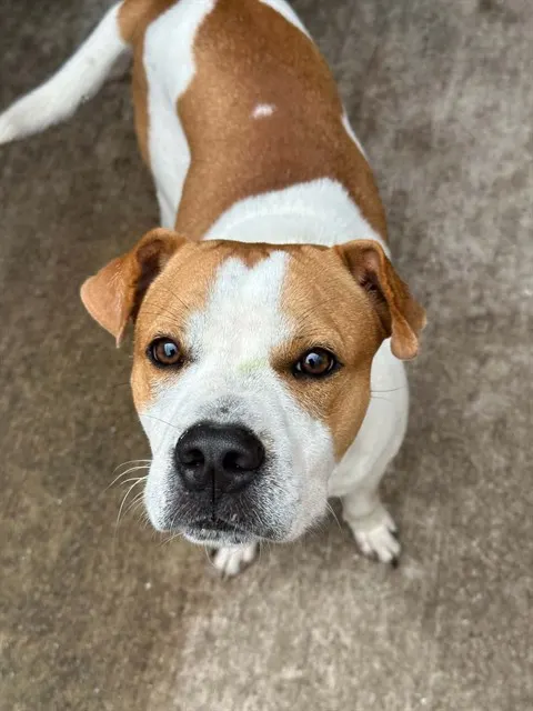 Spunky
