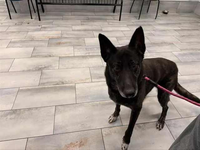 Max