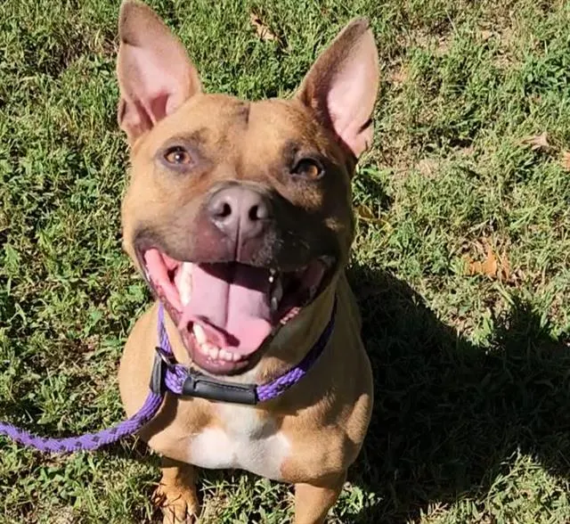 Max