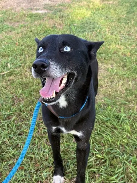 Paco