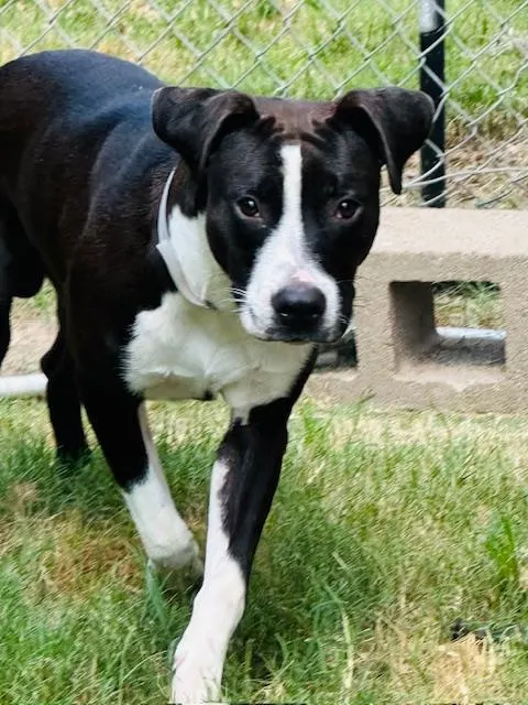 Vinny
