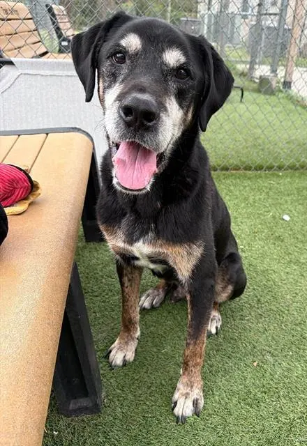 Max