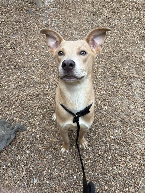 Max