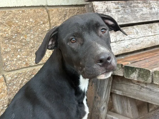 Marley