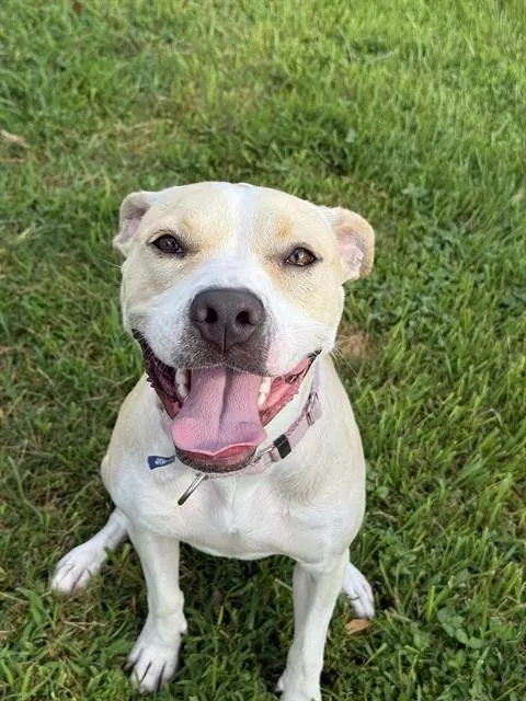 Happy
