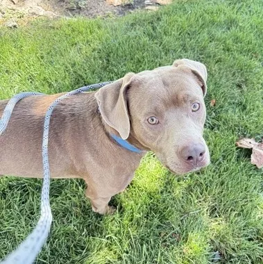 Max
