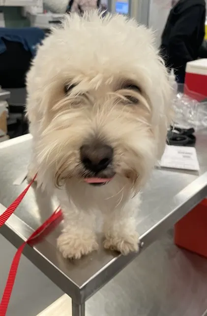 Charlie