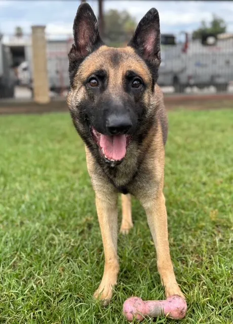 Tonka