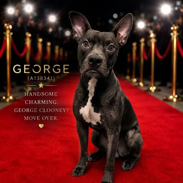 George