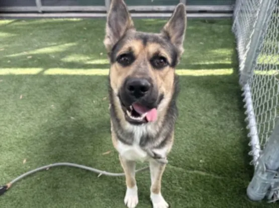 Max