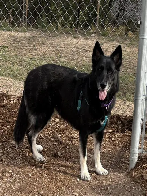 Lydia