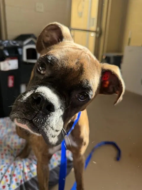 Marley