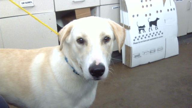 Max